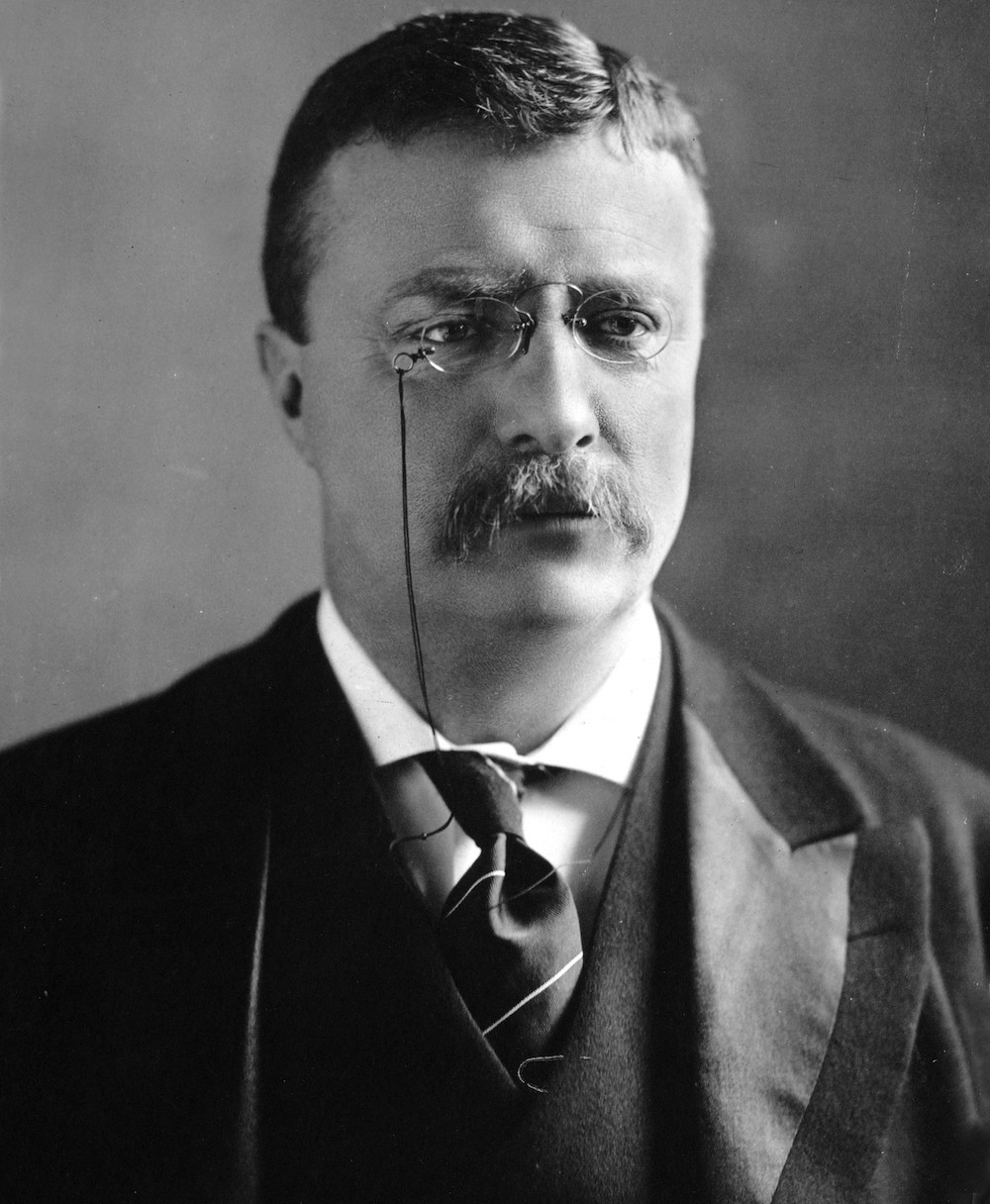 [Image: Theodore_Roosevelt_circa_1902.jpg]
